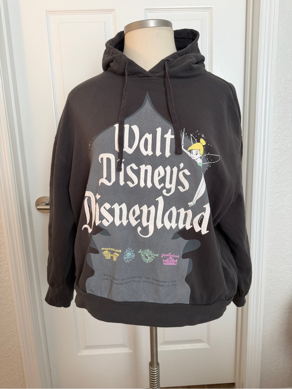 Disney100 Disneyland Tinker Bell Women’s 1X Plus Size Graphic Hoodie Charcoal